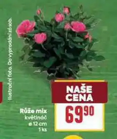 Billa Růýe mix nabídka