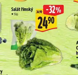 Albert Salát římský nabídka