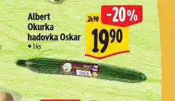 Albert Okurka hadovka nabídka