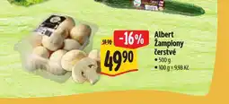 Albert Žampiony čeratvé nabídka