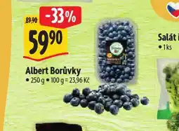 Albert Borůvky nabídka