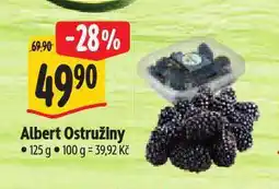 Albert Ostružiny nabídka