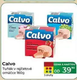 Tamda Foods Calvo Tuňák v rajčatové omáčce 160g nabídka