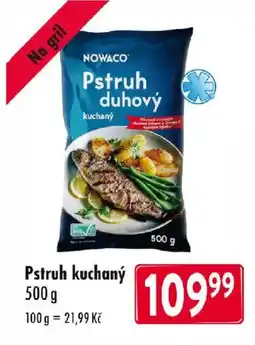 Qanto Pstruh duhový nabídka