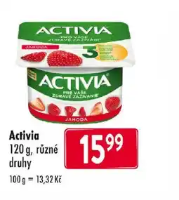 Qanto Activia nabídka