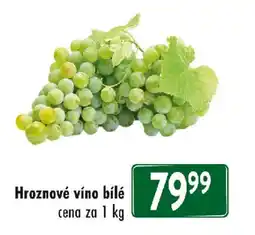 Qanto Hroznové víno bílé nabídka
