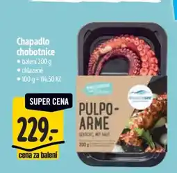 Albert Chapadlo chobotnice nabídka