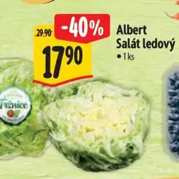 Albert Albert Salát ledový nabídka