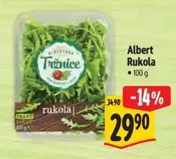 Albert Albert Rukola nabídka