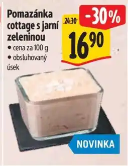Albert Pomazánka cottage s jarní zeleninou nabídka