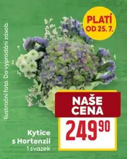 Billa Kytice s Hortensií nabídka