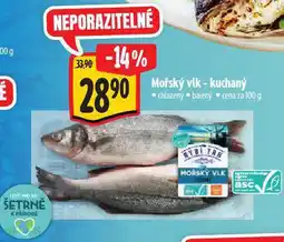 Albert Mořský vlk nabídka