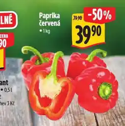 Albert Paprika červená nabídka
