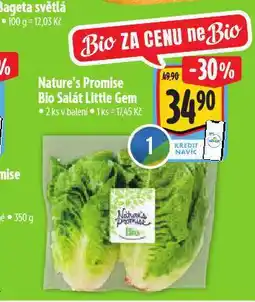 Albert Bio salát little gem nabídka