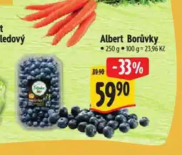 Albert Borůvky nabídka
