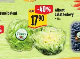 Albert Salát ledový nabídka