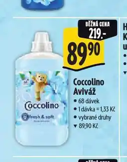 Albert Coccolino aviváž nabídka