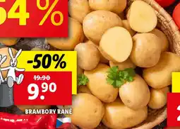 Lidl Brambory rané nabídka