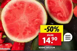 Lidl Vodní meloun nabídka