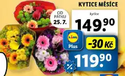 Lidl Kytice měsíce nabídka