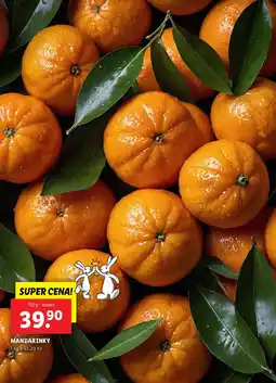 Lidl Mandarinky nabídka