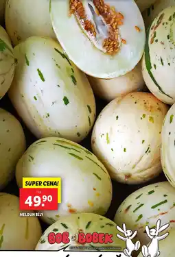 Lidl Meloun bílý nabídka