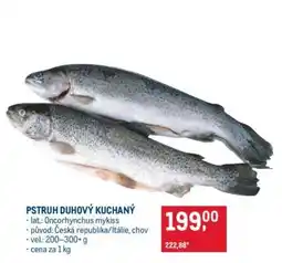 Makro Pstruh duhový kuchaný nabídka