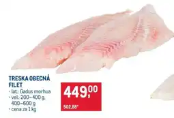 Makro Treska obecná – filet nabídka