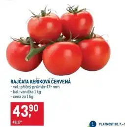 Makro Rajčata keříková červená nabídka