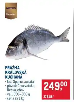 Makro Pražma královská kuchaná nabídka