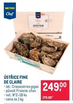 Makro Ústřice Fine de Claire nabídka