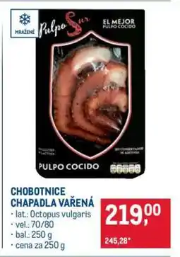 Makro Chobotnice chapadla vařená nabídka