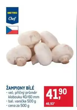Makro Žampiony bílé nabídka