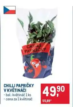 Makro CHILLI PAPRIČKY V KVĚTINÁČI nabídka