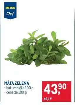 Makro Máta zelená nabídka