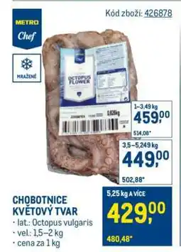 Makro Chobotnice květový tvar nabídka