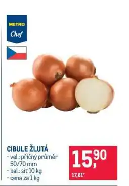 Makro Cibule žlutá nabídka