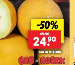Lidl Gália meloun nabídka
