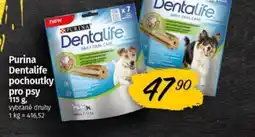 COOP TIP Purina Dentalife pochoutky pro psy nabídka