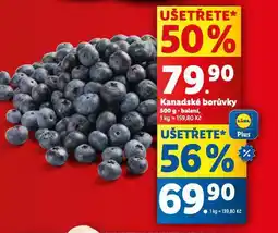 Lidl Kanadské borůvky nabídka
