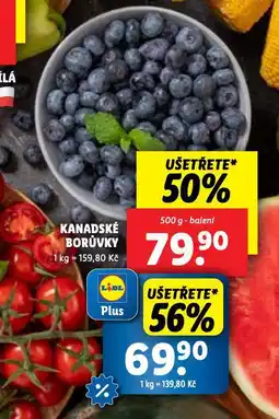 Lidl Kanadské borůvky nabídka