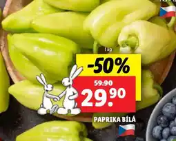 Lidl Paprika bílá nabídka