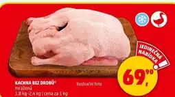 Penny Market KACHNA BEZ DROBŮ mražená, 1,8 kg-2,4 kg nabídka