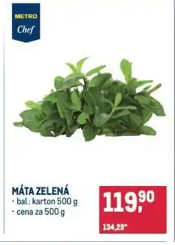 Makro Máta zelená nabídka
