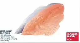Makro Losos obecný filet trim d nabídka