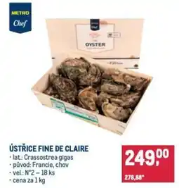 Makro Ústřice fine de claire nabídka