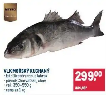 Makro Vlk mořský kuchaný nabídka