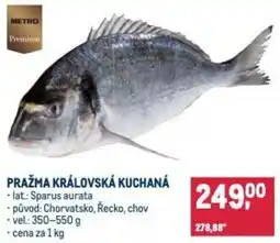 Makro Pražma královská kuchaná nabídka