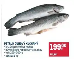 Makro Pstruh duhový kuchaný nabídka