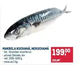 Makro Makrela kuchaná, nekuchaná nabídka